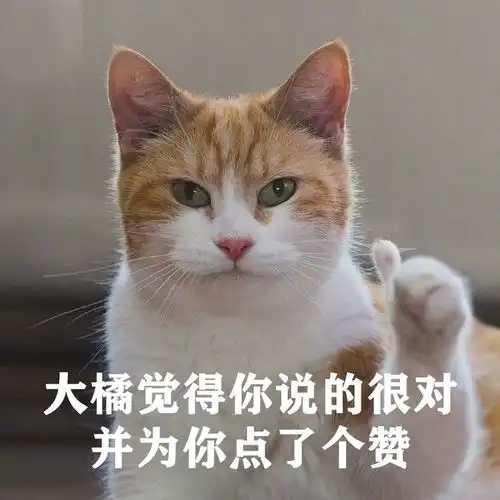 带我家猫去绝育,医生说猫蛋蛋太小那方面可能不太行
