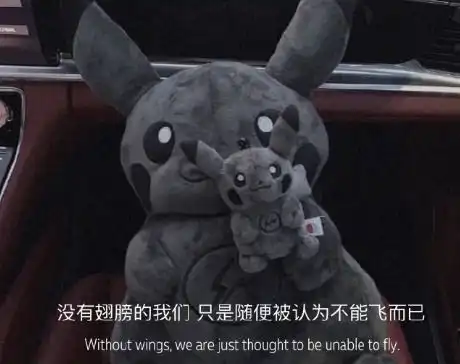 很吸引人让人爆笑的朋友圈说说超级爆笑的朋友圈文案
