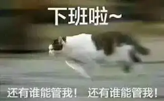 表情包丨单身的快乐你根本想象不到
