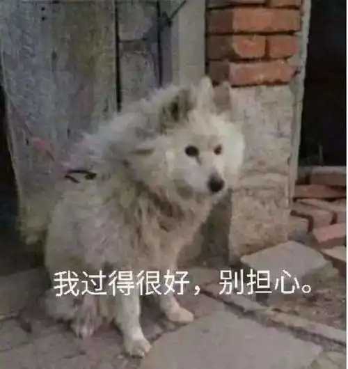 央行降准迎来制造业发展的大契机,很多小型紧企还不知道
