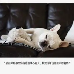 人物
