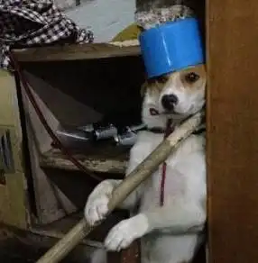 叛逆的小明打碎了邻居的玻璃,妈妈握着小明的手,对小明说
