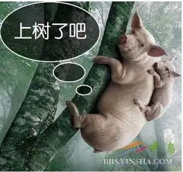 猪会上树吗
