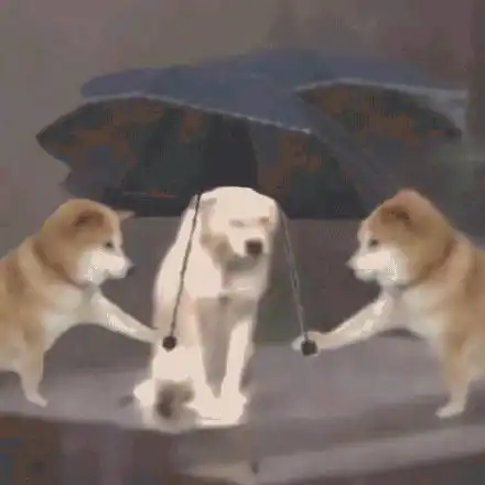 狗狗可爱表情包狗狗