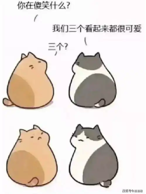 奇葩搞笑趣图狗子看到了吧,有个强大的后台多么重要
