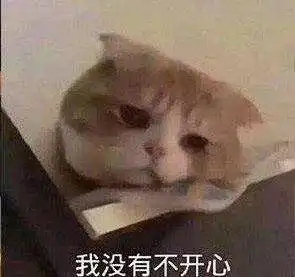 鼻子流血表情包自杀式