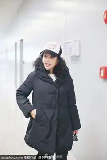 组图刘晓庆浓妆现身棒球帽减龄对镜头微笑黑棉服略显臃肿
