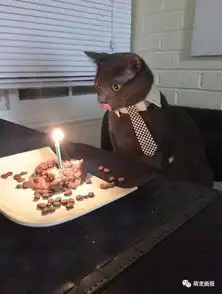 面对生日蛋糕和蜡烛,过生日的猫猫狗狗们反应好搞笑
