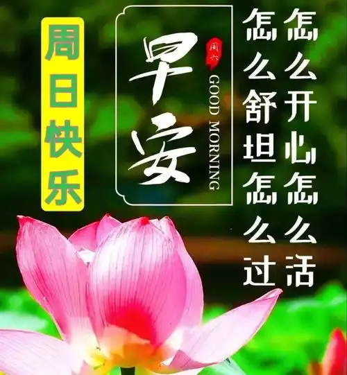 2022年1月9日星期日漂亮早上好问候动态表情图片带字2022最美早安问候祝福语图片带字温馨