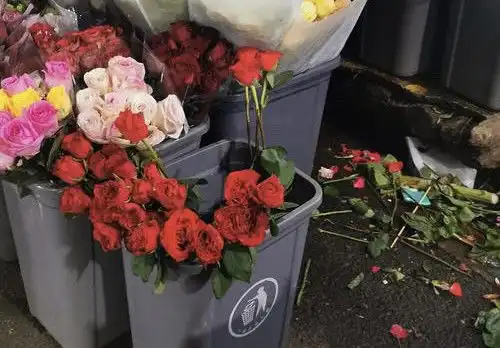 给别人老婆送花情人节过后垃圾桶堆满鲜花,丢弃的不只是鲜花