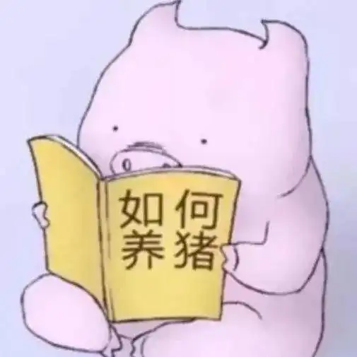 啥是佩奇寒假攻略要配齐
