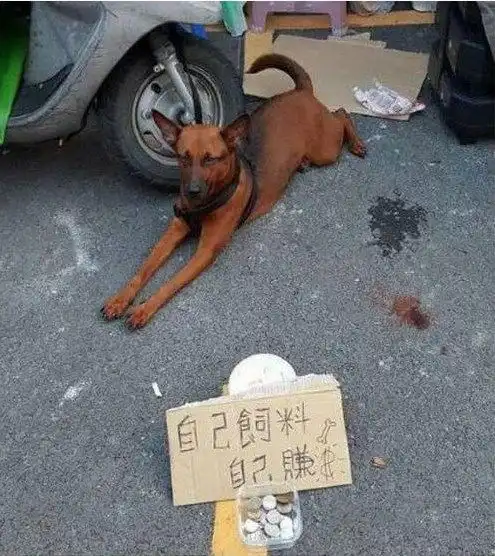 搞笑图片幽默段子笑话这拜的是谁好眼熟啊
