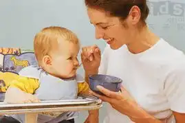 如何培养健康的肉食小宝贝
