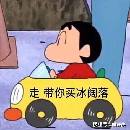 搞笑表情包图片莫说冰阔落,我偏要杠

