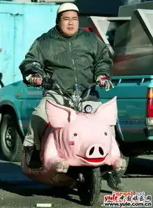 猪年流行的猪车
