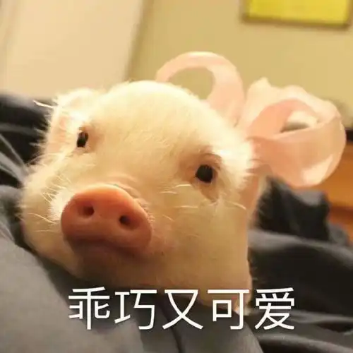 搞笑表情包图片你刚出浴的样子,乖巧又可爱
