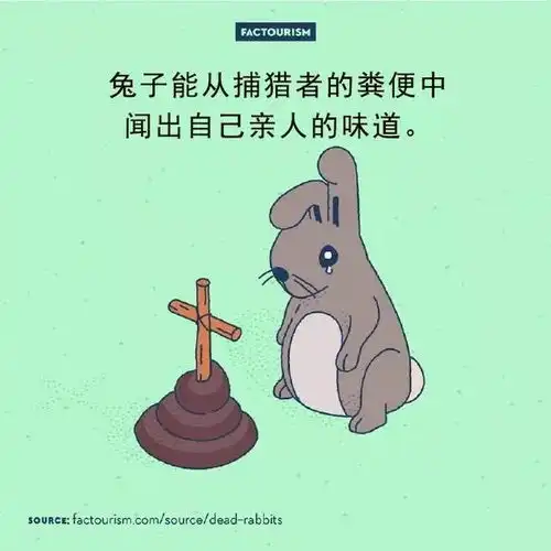 一波鲜为人知的冷知识,这个画风太可爱啦
