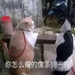发放一组斗图表情包
