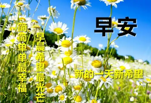 早上好最火的早安暖心问候语特别漂亮的美女图片带字
