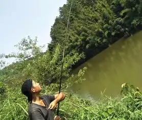 做好这3件事,夏季刮风天轻松爆护
