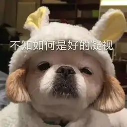 坐了3年网约车的我,和2000位司机聊过爱恨情仇
