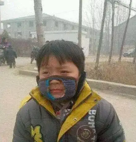 搞笑图片这应该是蜘蛛届的艺术家
