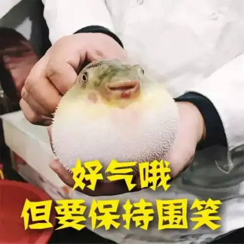 暑期美食指南浪在江鲜之乡