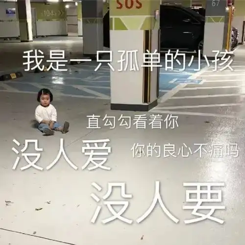 表情包你可以的,你是最棒的小汪汪
