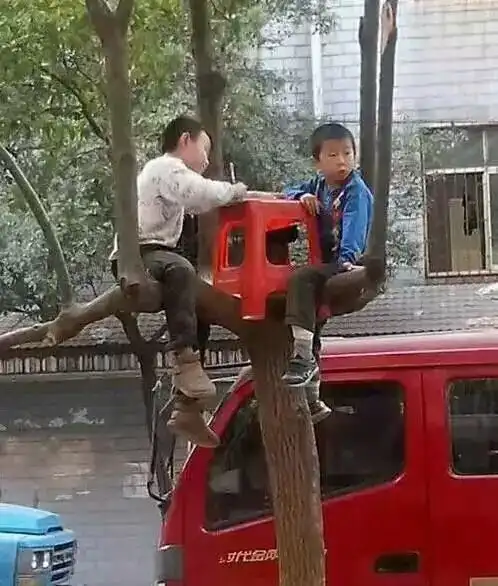 小朋友,你们可真是学霸附身啊,爬树是为了做作业
