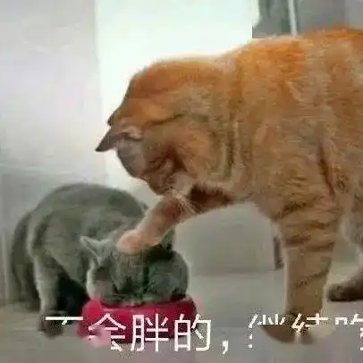 我爱上班,上班使我快乐第286期喵表情
