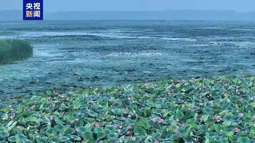 俯瞰秋日湿地绝美壁纸已上新
