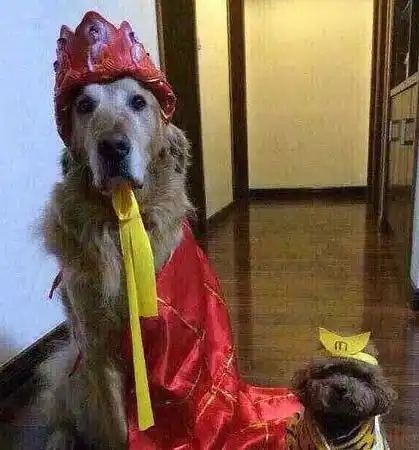 搞笑图片幽默段子笑话我是不是应该换个地方上厕所,有点尴尬啊
