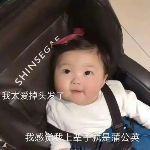 表情包我太爱掉头发了,我感觉我上辈子就是蒲公英
