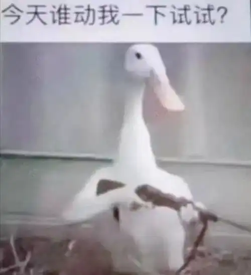 为了搞钱,全深圳都在以鹅传鹅
