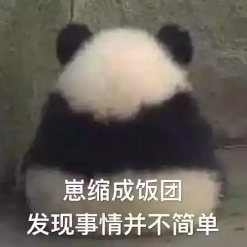 搞笑故事孩子和猫
