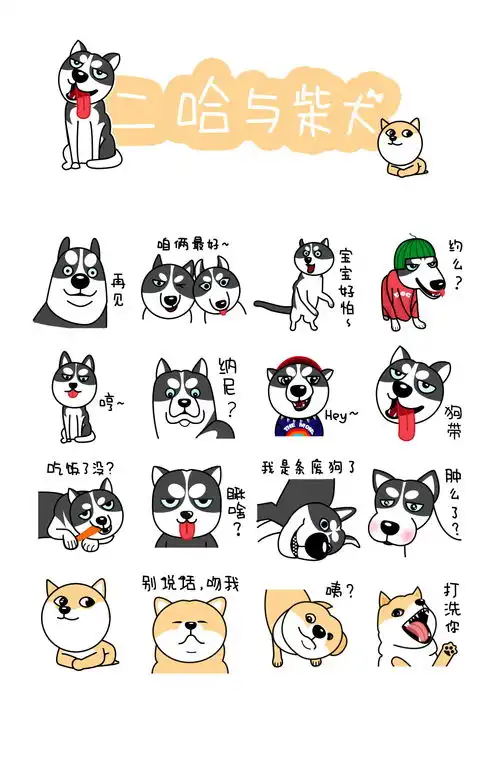 二哈与柴犬表情包
