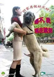 第58页zol趣图频道
