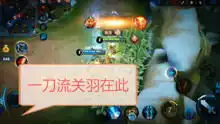 王者荣耀一刀流二爷
