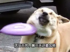 打折营销还能这么玩我承认,是我输了
