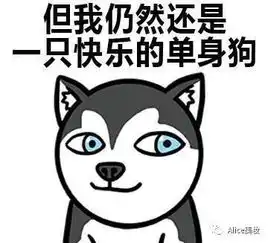 单身狗必经的4个心理阶段
