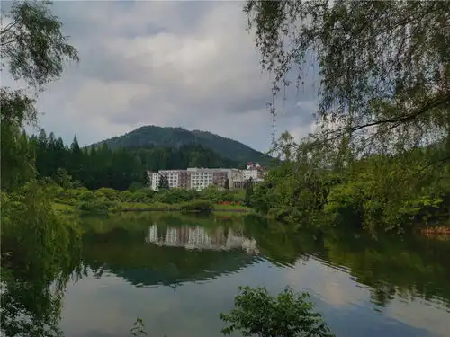 山魂山魂最新消息,新闻,图片,视频聚合阅读新浪网
