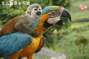 开心一刻看图说段子,无厘头搞笑来袭,别是一番滋味
