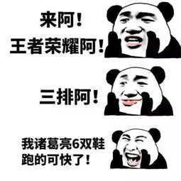 宝骏新青年们的2017丨来呀,排位啊
