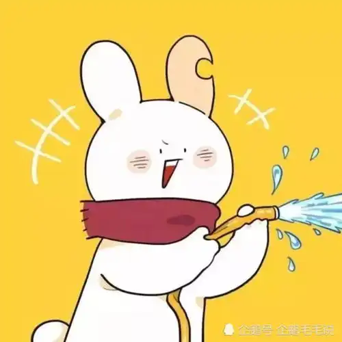 绝版搞笑情头,猫猪让人哭笑不得,最后的秋田犬让人笑到窒息
