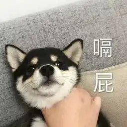 表情包嗝屁,我哪敢说话