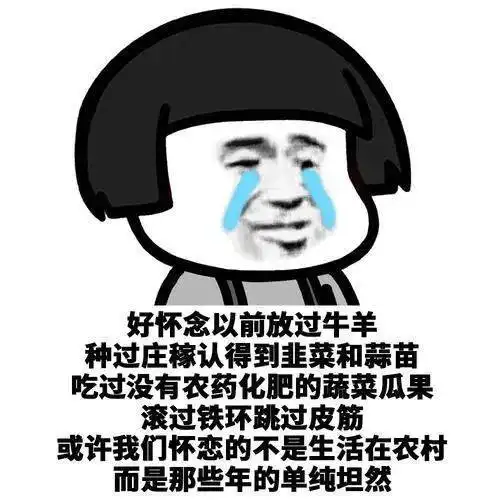 整年都空闲新宁波人国庆回老家,晒自家的房子车子与院子网友
