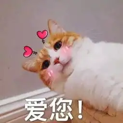 和爸妈聊天的表情包亲爱的爸妈,您的孩子没钱了
