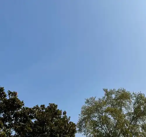 大风暴雨马上到,许昌发布重要提醒