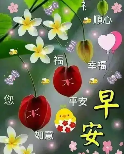 2021年早安问候语图片带字,暖心早上好图片表情祝福语录
