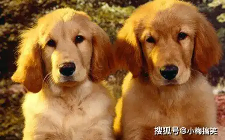 搞笑段子我这坐个公交,怎么还有这么高的待遇了

